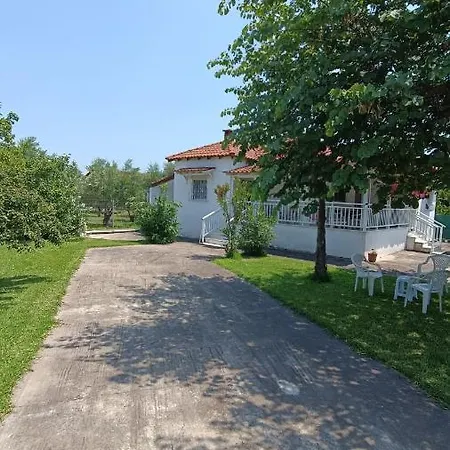 Vasiliki's