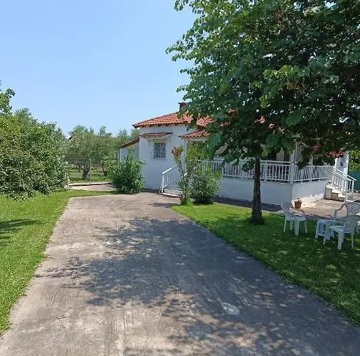 Vasiliki's